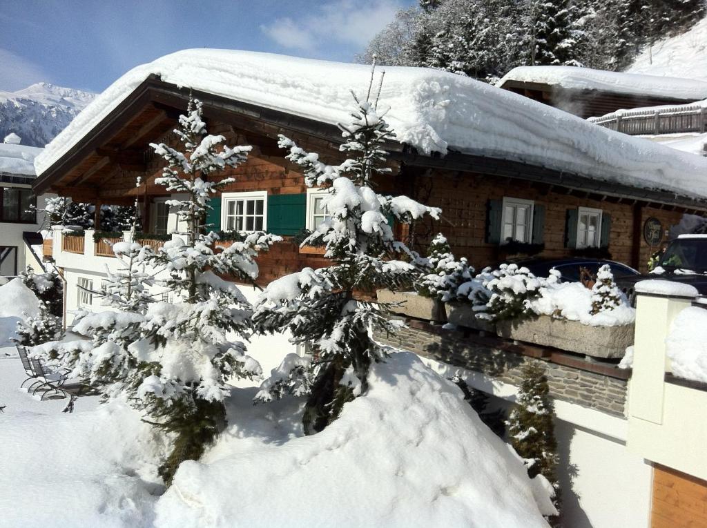 Appartement Wagner Haeusl *